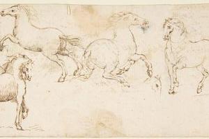 素描合集-attributed to Francesco Allegrini--Horses4