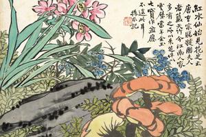 花卉图册