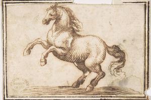素描合集-attributed to Francesco Allegrini--Horse6