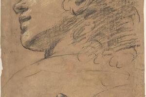 素描合集-attributed to Giacomo Cavedone--Profile Head of a Youth Looking to Upper Left