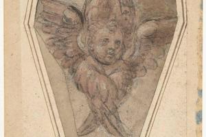素描合集-Raffaellino del Garbo--A Seraph