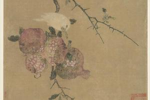 石榴蜡嘴图