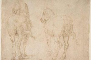 素描合集-attributed to Francesco Allegrini--Horses3