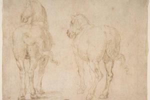 素描合集-attributed to Francesco Allegrini--Horses3