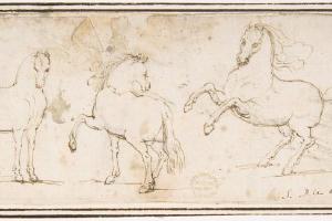素描合集-attributed to Francesco Allegrini--Horses1