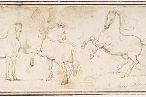 素描合集-attributed to Francesco Allegrini--Horses1