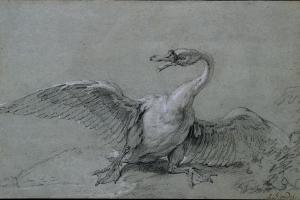 素描合集-Jean-Baptiste Oudry--Angry Swan