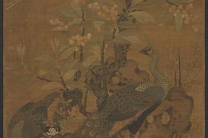 画枇杷孔雀