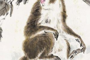 猴2