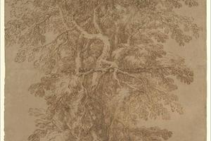 素描合集-Salvator Rosa--A Large Tree
