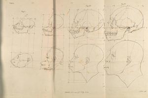 素描合集-Written by Pieter Camper--The Works of the late Professor Camper