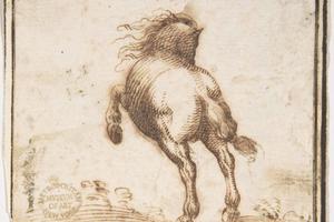 素描合集-attributed to Francesco Allegrini--Horse5