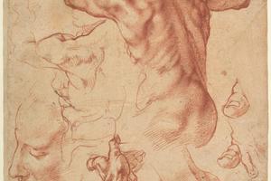 素描合集-Michelangelo Buonarroti--Studies for the Libyan Sibyl