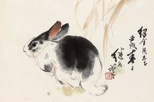 兔子1