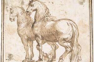 素描合集-attributed to Francesco Allegrini--Two Horses