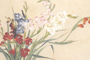 莒兰花