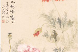 虞美人