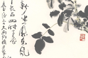 红月季