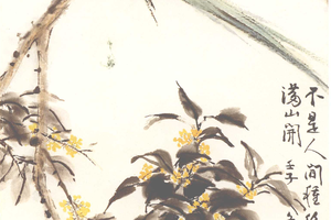 绿衣金粟