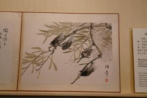 杂画册
