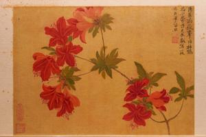 花卉册
