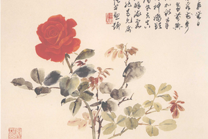 月季