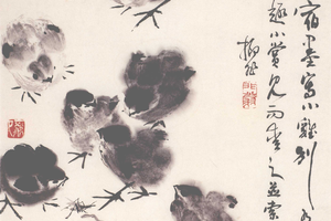 小鸡