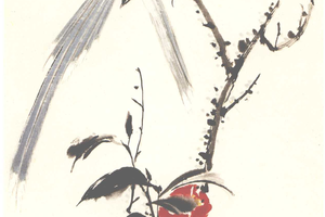 兰鹊红山茶