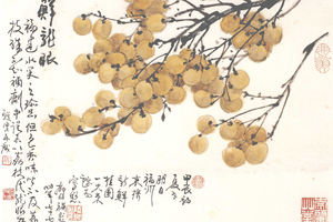 鲜龙眼
