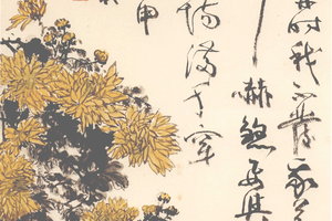 黄菊