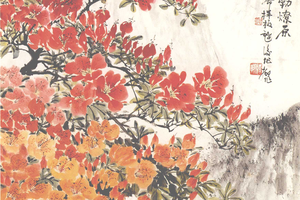 遍山怒放杜鹃花