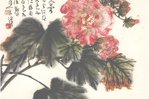 芙蓉