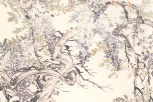 紫藤禽戏