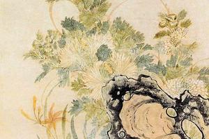 菊石萱花圖