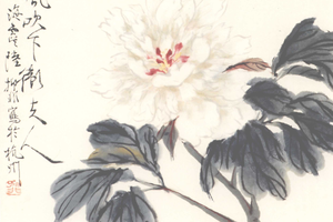 芍药