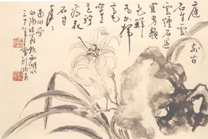 菅花