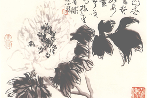 墨色牡丹