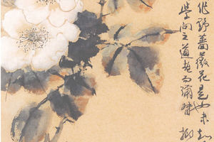 金樱子花