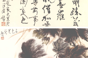 三色芙蓉