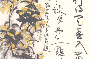 丹桂