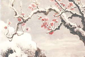 清寒