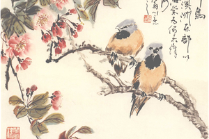 牧师鸟