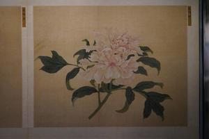 牡丹谱册(一百开选二十开)