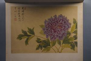 花卉集锦册之恽冰四开