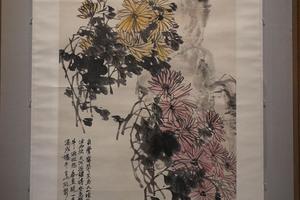菊石图