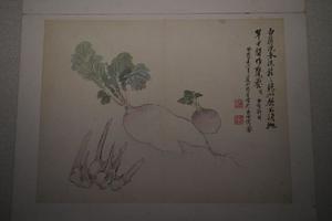 花卉蔬果册(六开)