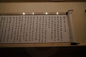 行书苍虬老人落花诗等卷