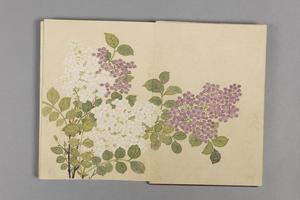 董诰花卉小册