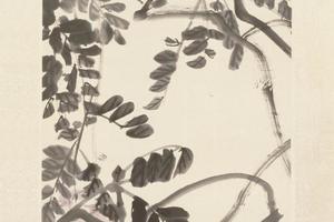 陈师曾紫藤图轴