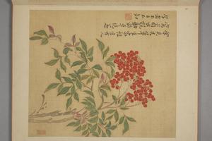 马元驭花卉册